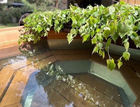 tariff Программа для пары Свидание в бане