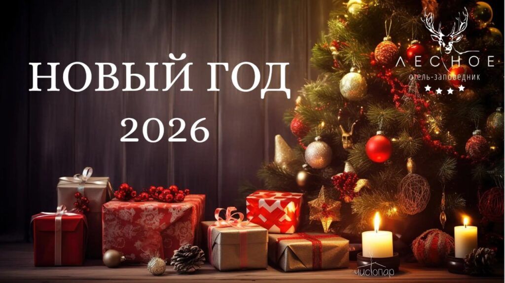 Новый год 2026