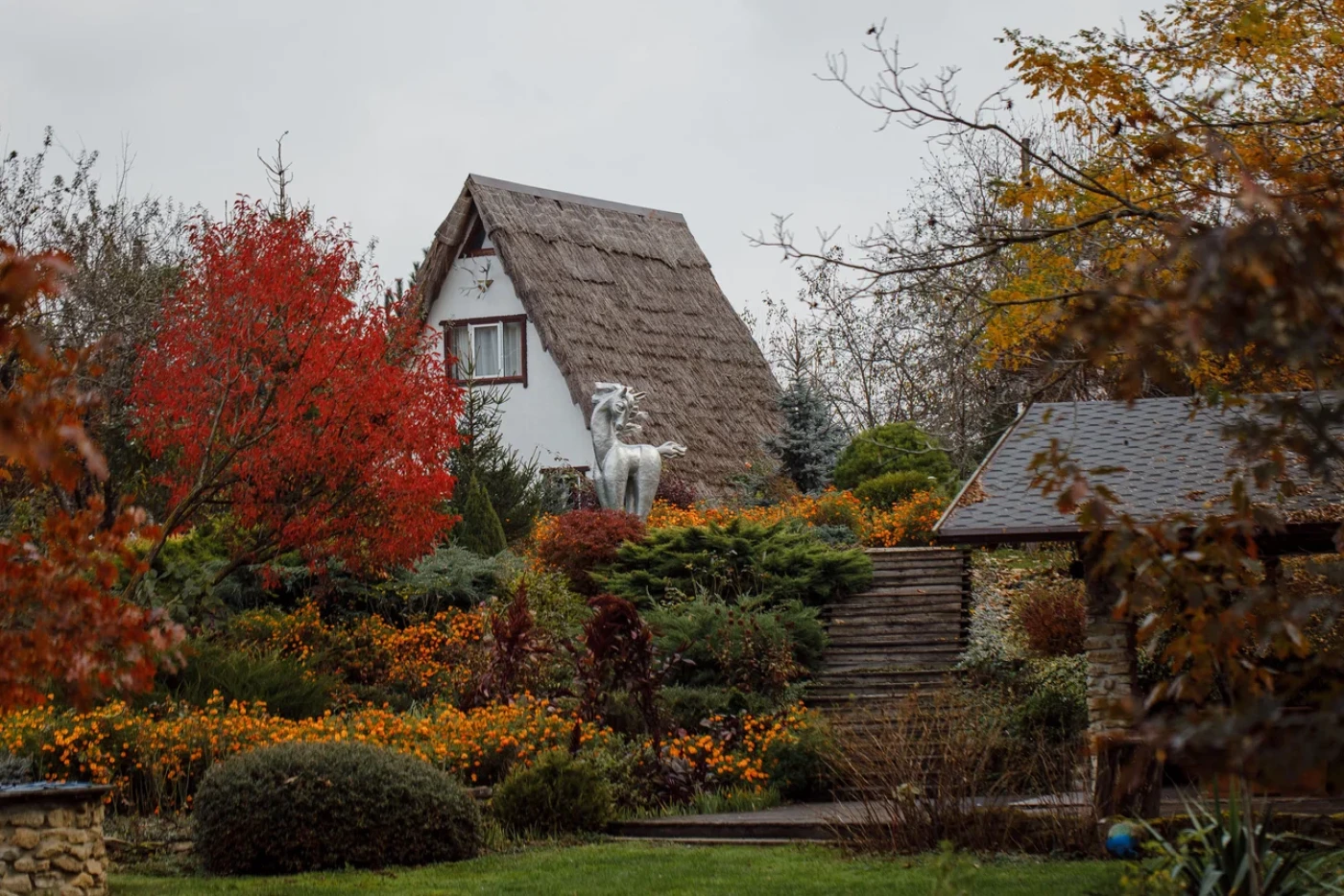 Моя Лаба - фото 8