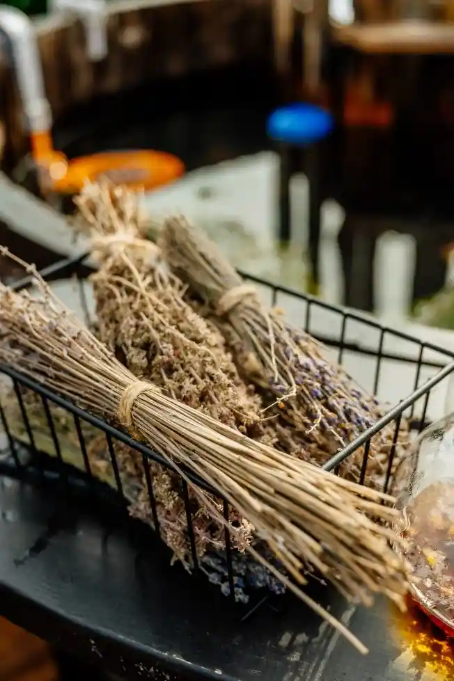 Ecosuite apartment`s - фото 14