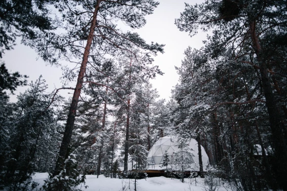 Глэмпинг Lago Ladoga - фото 31