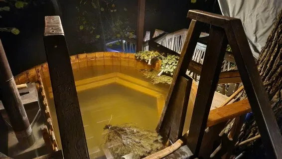Загородный СПА отель Welna Eco Spa Resort - фотография Загородный СПА отель Welna Eco Spa Resort