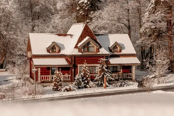 Загородный СПА отель Welna Eco Spa Resort - фотография Загородный СПА отель Welna Eco Spa Resort