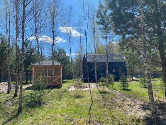 Глэмпинг «Дыши лесом» - фото 11