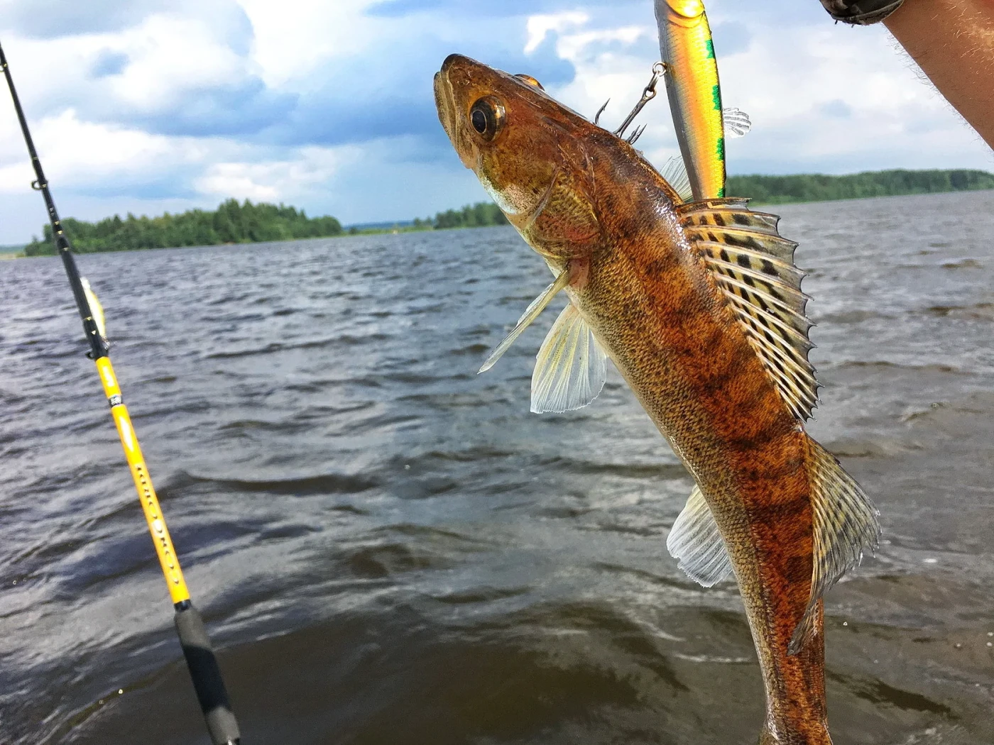 База отдыха NaVolgo на Селигере - фото 20