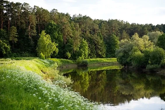 Глэмпинг Pine River Park - фотография Глэмпинг Pine River Park
