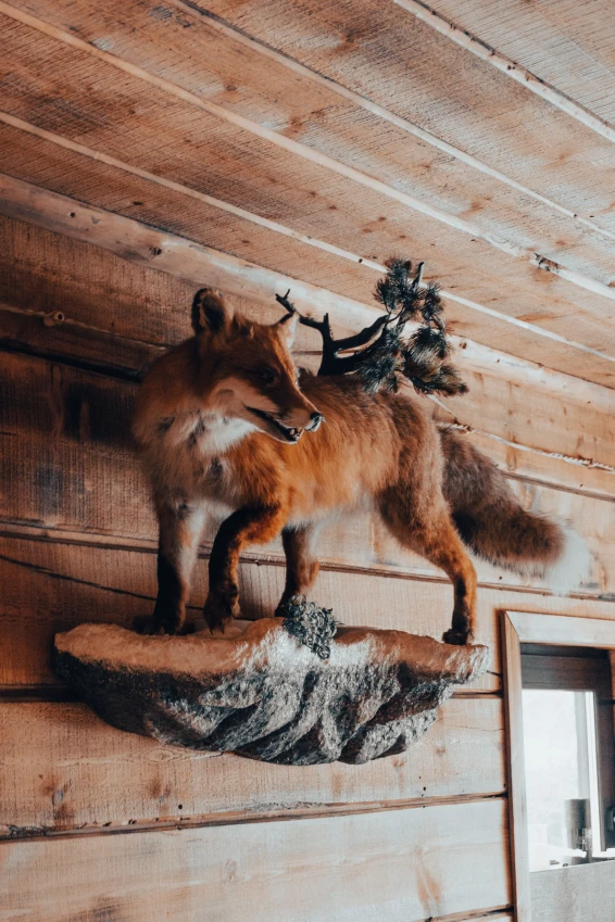 База отдыха «Остров VT» - фото 20