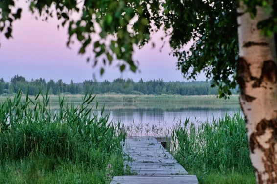 Комплекс отдыха Дикий гусь - фото 5