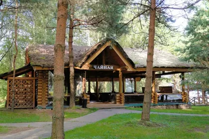 Парк-отель Басовское - фото 45