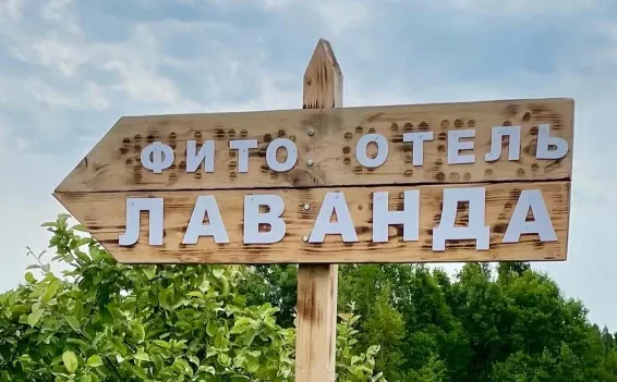 Фито-отель Лаванда - фотография Фито-отель Лаванда