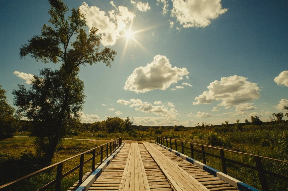 База отдыха Галдым - фото 20