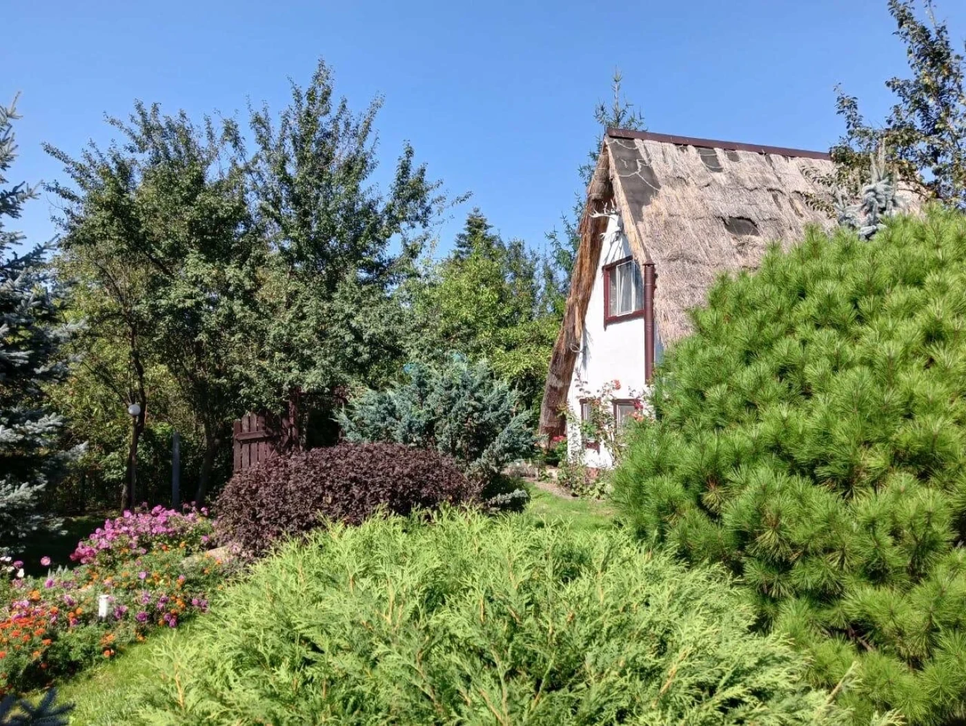 Моя Лаба - фото 11