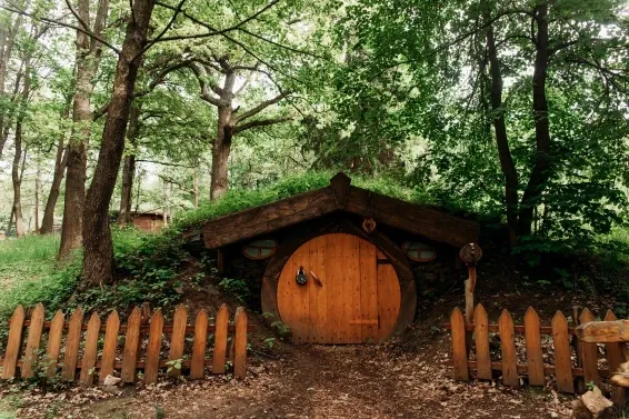 Загородный СПА отель Welna Eco Spa Resort - фотография Загородный СПА отель Welna Eco Spa Resort