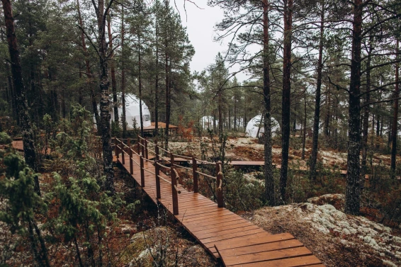 Глэмпинг Lago Ladoga - фото 2