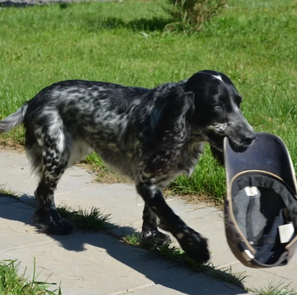 База отдыха и экотуризма Головинка - фото 24