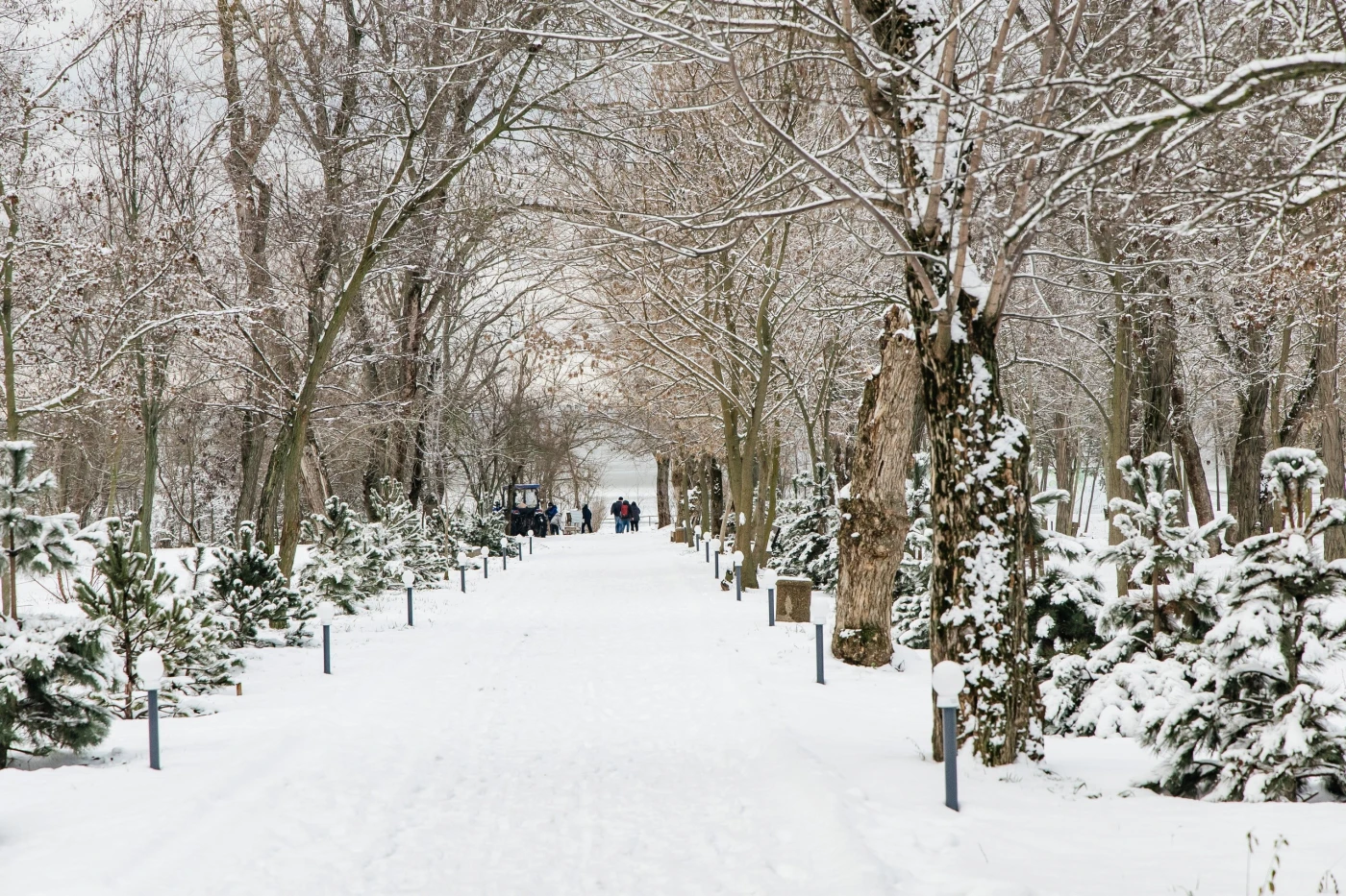 Эко-глэмпинг "Станция Морская" - фото 13