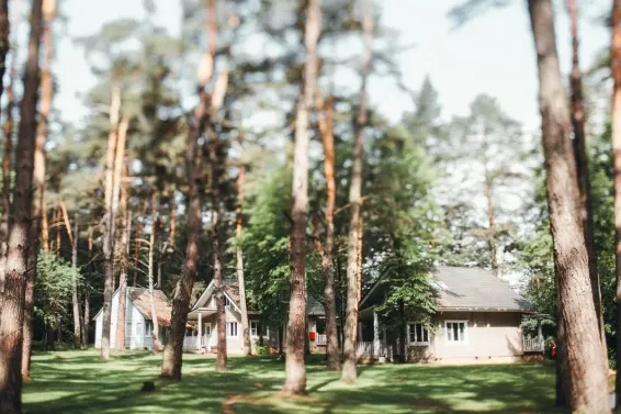 Глэмпинг Pine River Park - фотография Глэмпинг Pine River Park