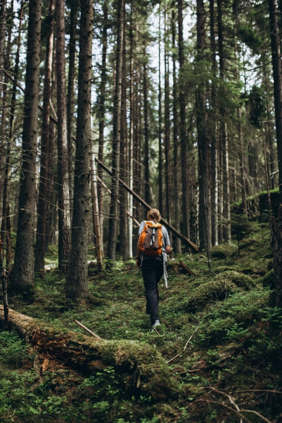 Глэмпинг Lago Ladoga - фото 35