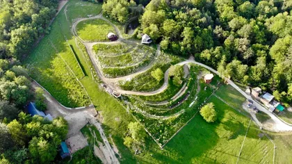 Глэмпинг Perma park - фото 21