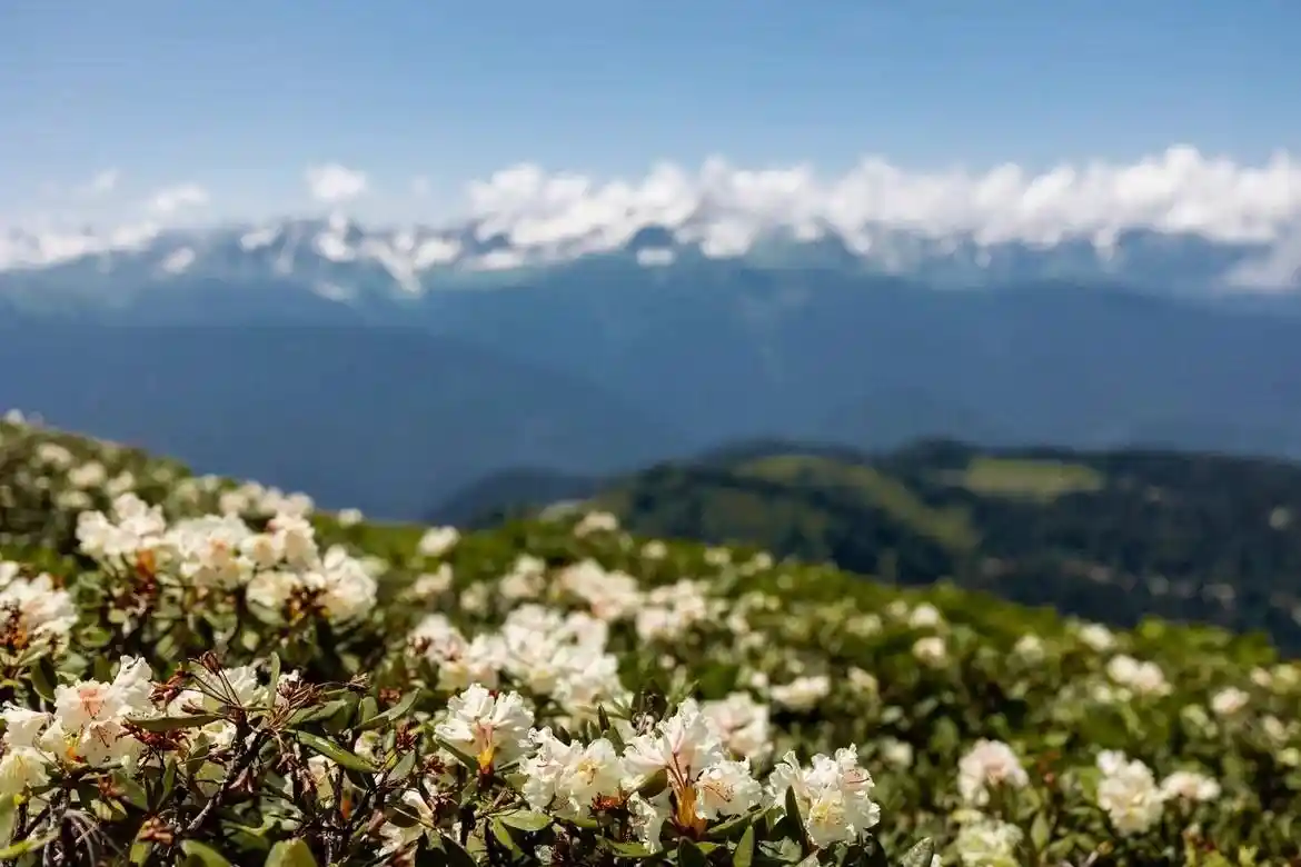 Нахазо - фото 23