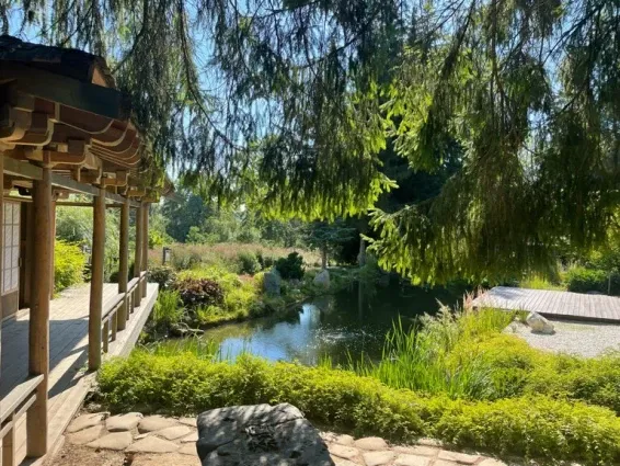Загородный СПА отель Welna Eco Spa Resort - фотография Загородный СПА отель Welna Eco Spa Resort