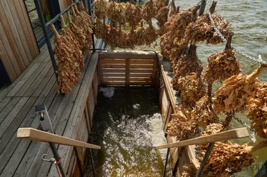 Волга серф кэмп - фото 14