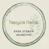 Эко-отель «Таруса Лайф» - фотография Эко-отель «Таруса Лайф»