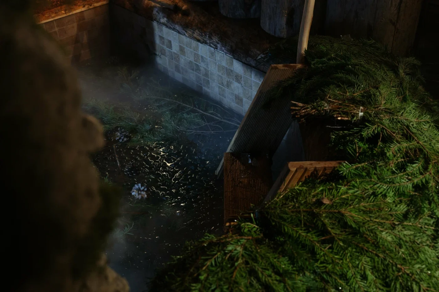 SIBERIA Санкт-Петербург - фото 23