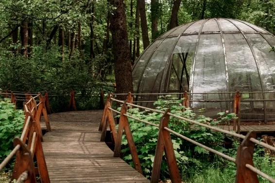 Загородный СПА отель Welna Eco Spa Resort - фотография Загородный СПА отель Welna Eco Spa Resort