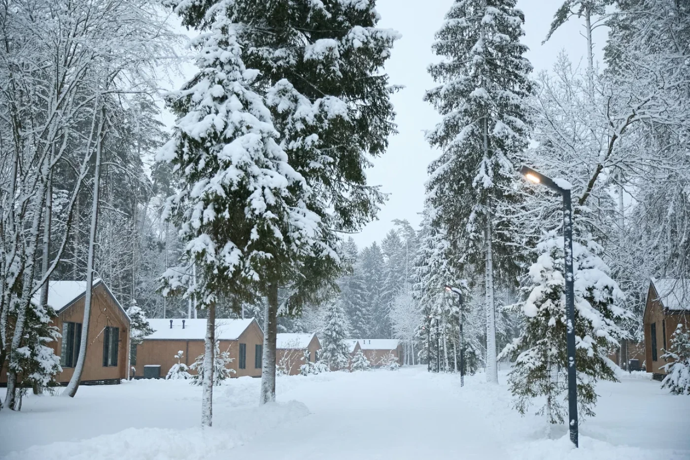 Загородный комплекс "Рябиновый берег" - фото 7
