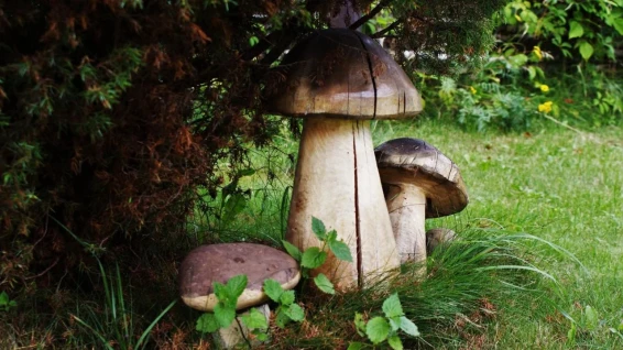 Деревенские Бани - фото 16