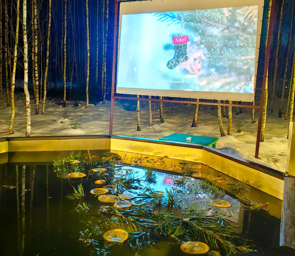 tariff Аренда банного чана с кинотеатром + Барбекю-домик