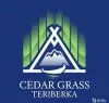 Отель CEDAR GRASS “ТЕРИБЕРКА”