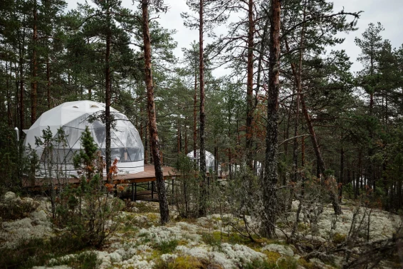 Глэмпинг Lago Ladoga - фото 19