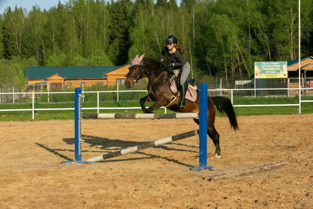 База отдыха и экотуризма Головинка - фото 21