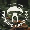 Глэмпинг-парк «Грибная находка» - фотография Глэмпинг-парк «Грибная находка»