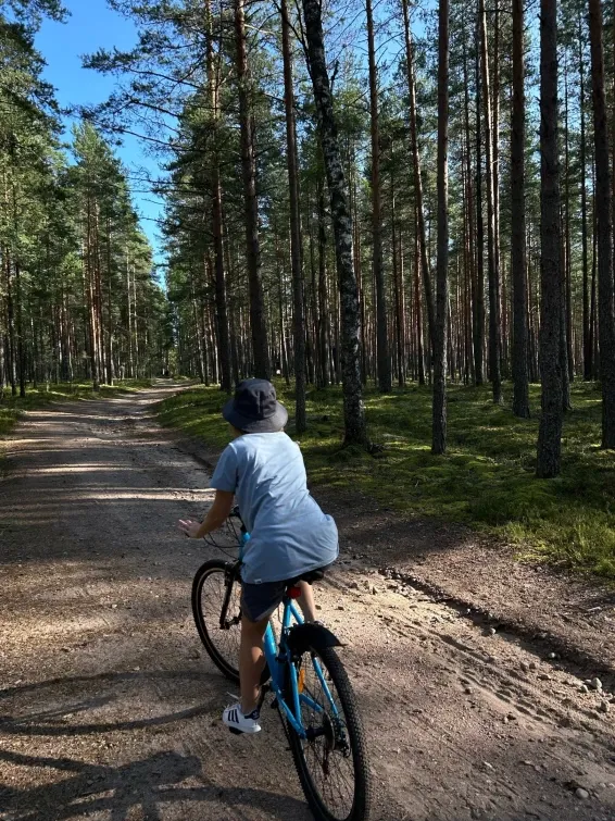 Глэмпинг Мистик Хиллс