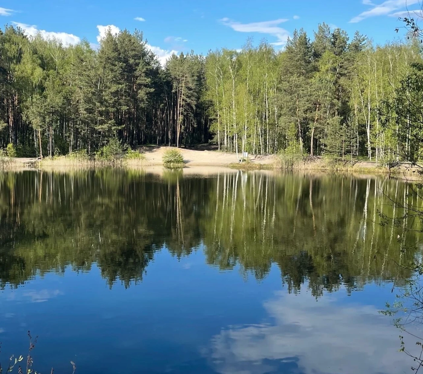 Баня на дровах «Лесная сказка» - фото 5