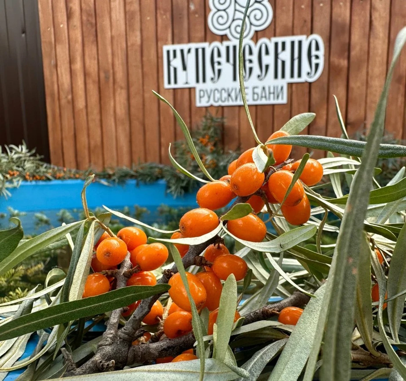 Купеческие русские бани - фото 13