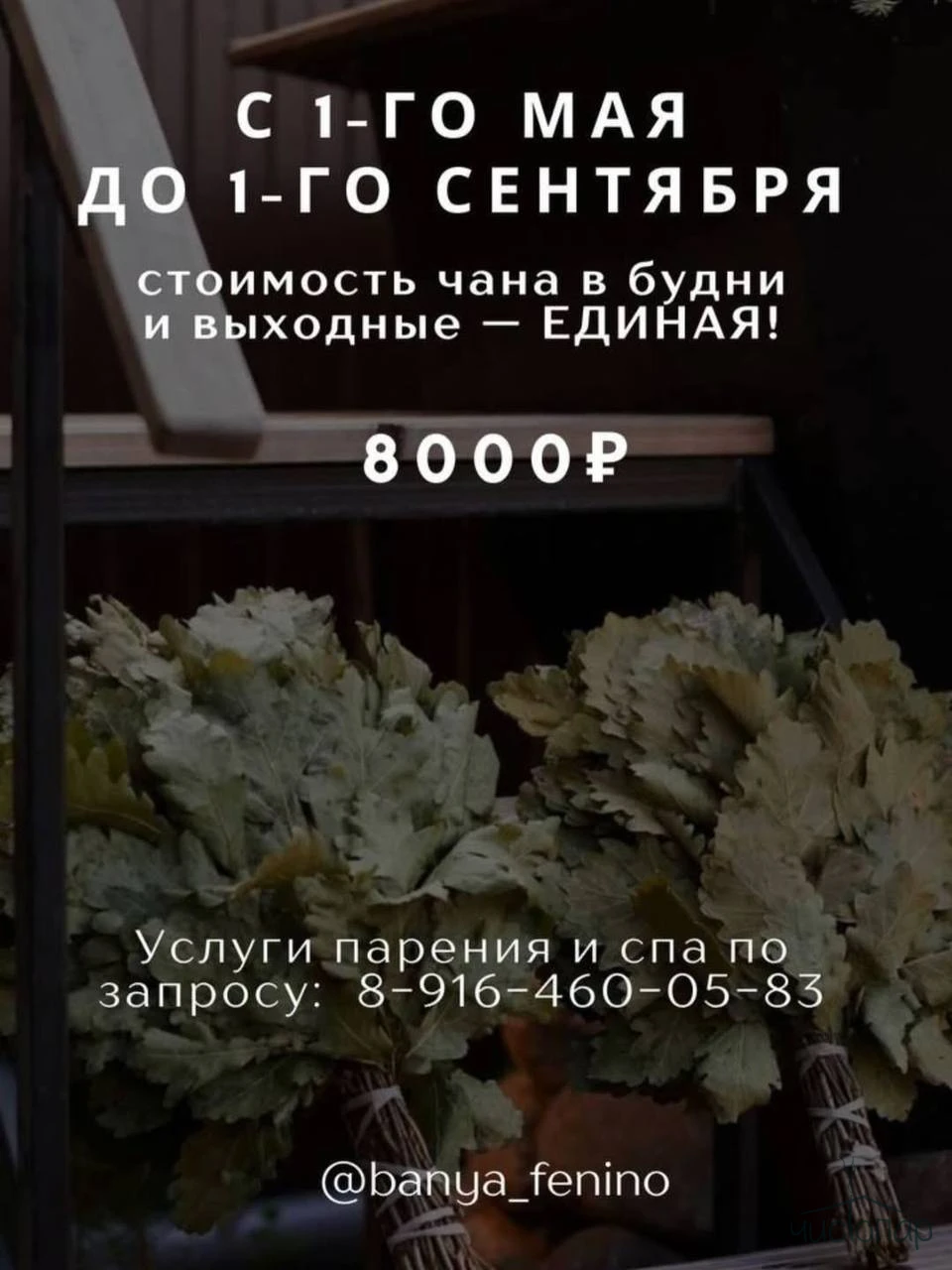 ЧАН за 8 000 ₽!