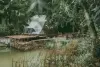 Глэмпинг "Озеро леса"