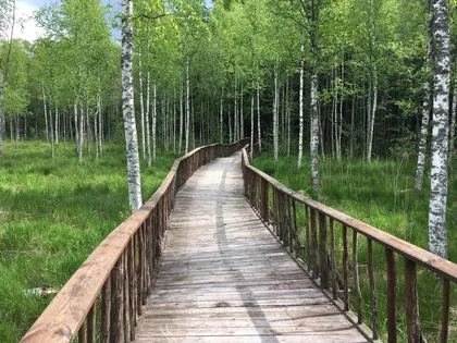 Экокомплекс СДЛ - фото 14