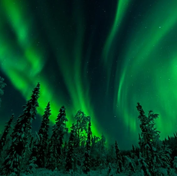 База отдыха «Остров VT» - фото 45