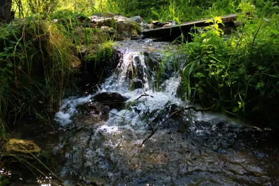 Глэмпинг Pine River Park - фотография Глэмпинг Pine River Park