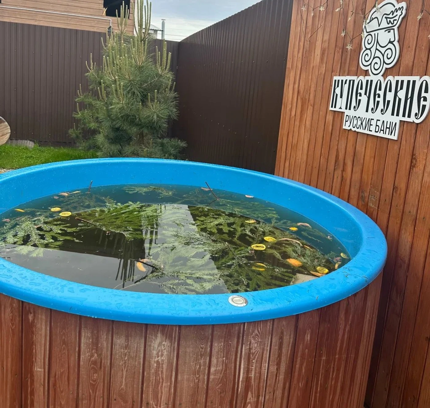 Купеческие русские бани - фото 15