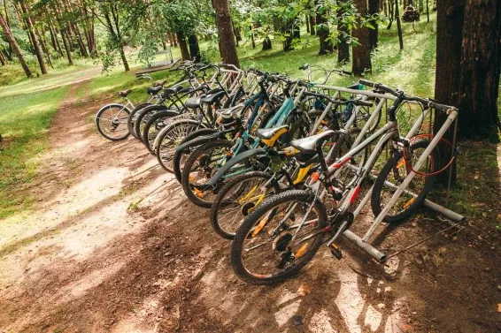 Глэмпинг Pine River Park - фотография Глэмпинг Pine River Park