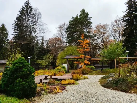 Загородный СПА отель Welna Eco Spa Resort - фотография Загородный СПА отель Welna Eco Spa Resort