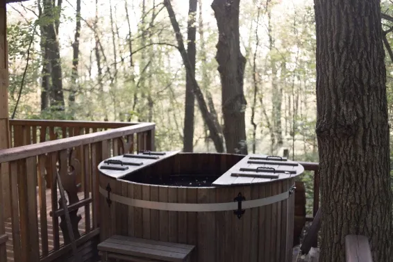 Загородный СПА отель Welna Eco Spa Resort - фотография Загородный СПА отель Welna Eco Spa Resort