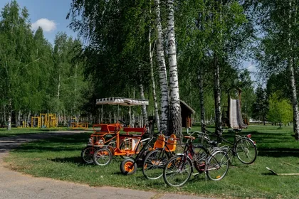 Парк-отель Басовское - фото 18