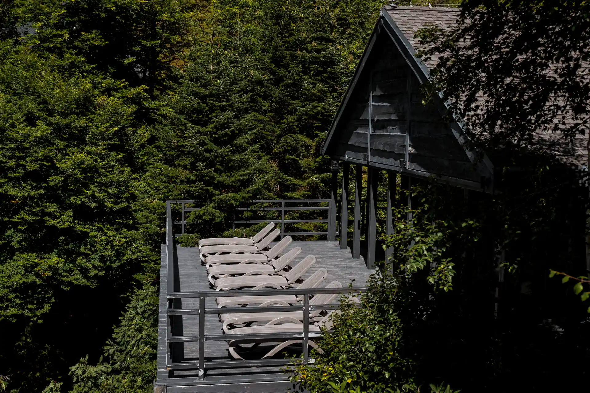 Нахазо - фото 4